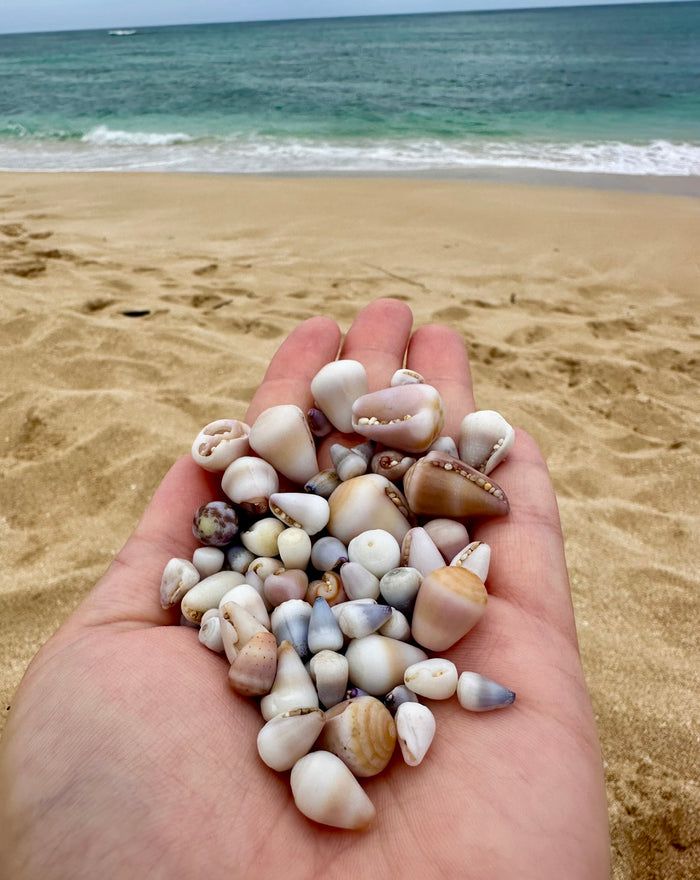 Sourced in the Pacific