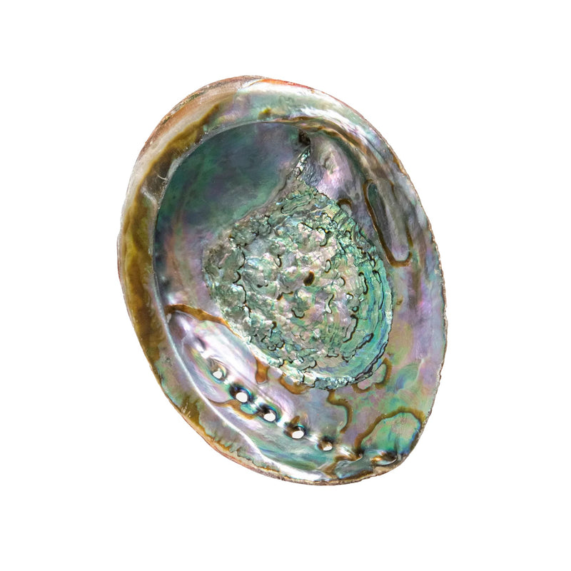 Abalone Cross